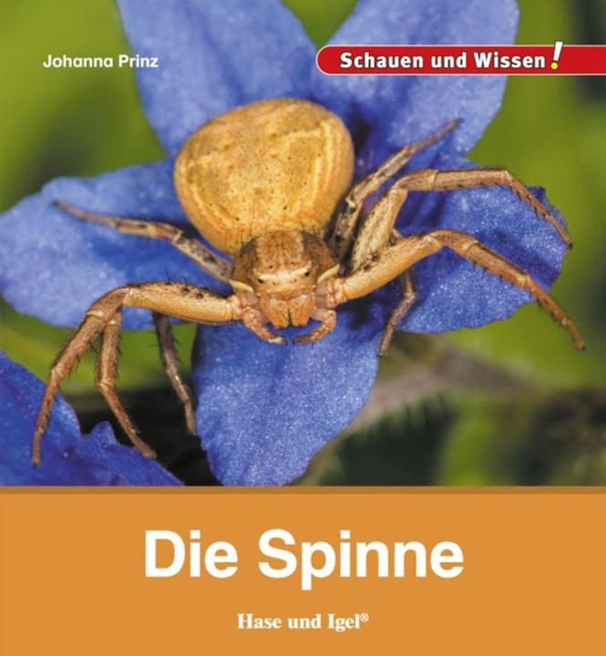 Produktbild Die Spinne (Deutsch, Johanna Prinz, 2017)