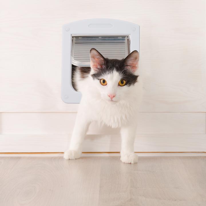Actual product image Relaxdays 4 Way Pet Door (Magnetic cat flap)