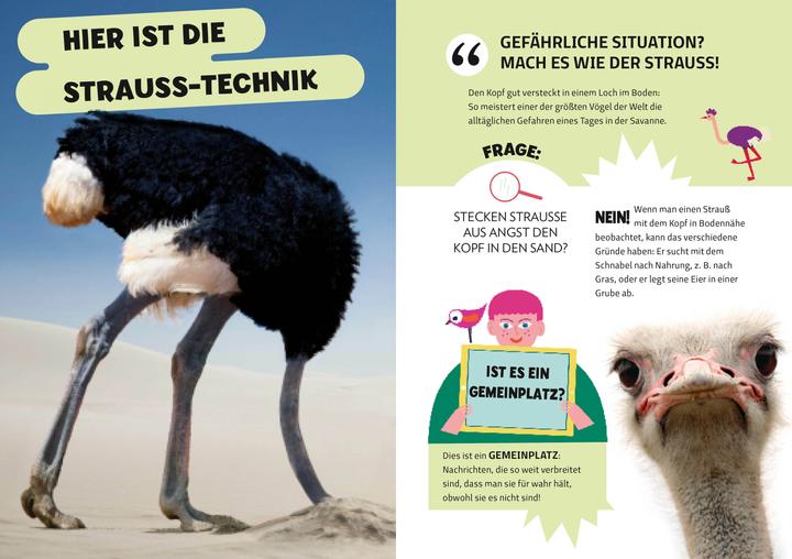 Produktbild National Geographic Die Mythenjäger. Keine Chance für Fake News und Lügenmärchen. Checke dein Wissen in unglaublichen (Deutsch, Silvia Mauri, Massimo Miato, Altea Villa, 2024)