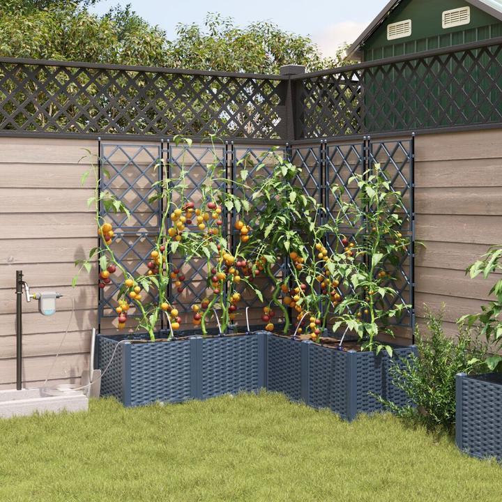 Image du produit VidaXL Planteuse de jardin avec système d'irrigation 5 pièces Gris
