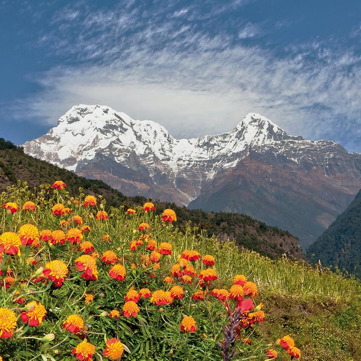 Produktbild Himalaya 2024 (30 x 30 cm, Harter Einband, Spanisch, Französisch, Italienisch, Polnisch, Englisch, Niederländisch, Tschechisch, Deutsch)
