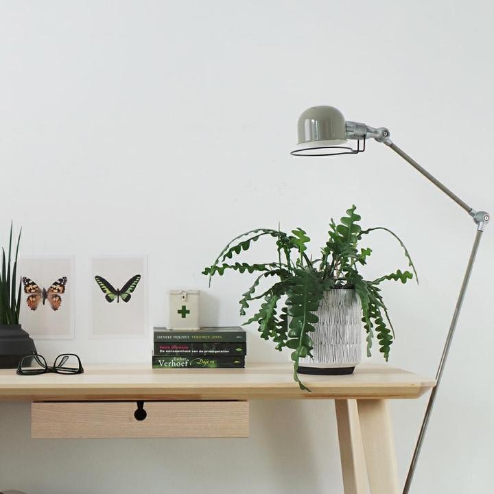 Actual product image Steinhauer Jikke (E14)