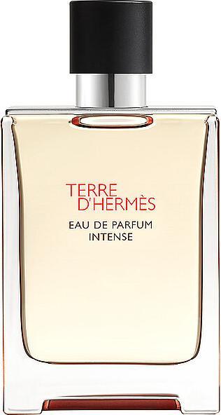 Image du produit Hermès Terre d'Hermes (Eau de parfum, 100 ml)