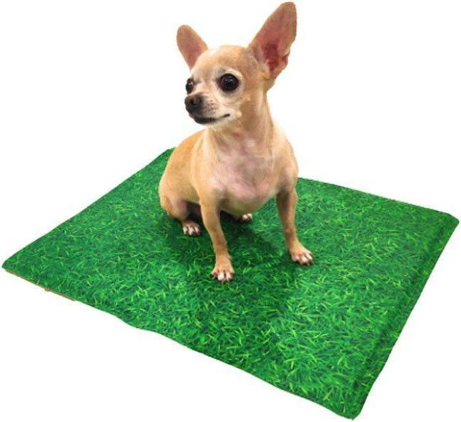 Image du produit Croci Spa Antimosquit Grass cooling mat 50x40cm (Chien)