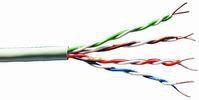 Actual product image Belden Cable U (U/UTP, CAT5e, 305 m)