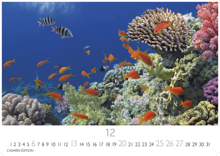 Image du produit Unterwasserwelten 2026 S 24x35cm (24 x 35 cm, Allemand)
