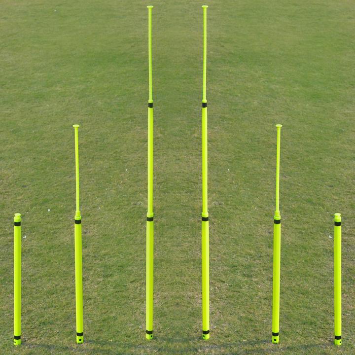 Actual product image Cougar Telescopic slalom poles "Set