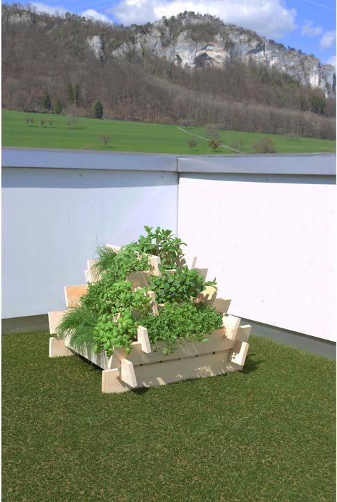 Actual product image DIY-Wood Herb pyramid untreated