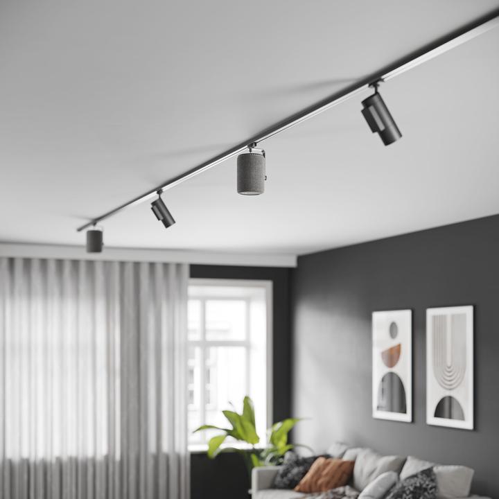 Immagine prodotto Audio Pro A10 MKII (Bluetooth, WiFi)