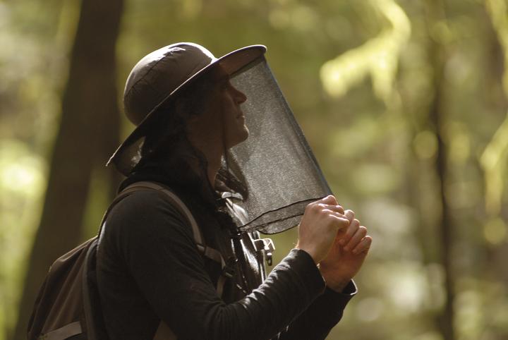 Actual product image Lifesystems Midge/Mosquito Head Net Hat (Head & neck pillow)
