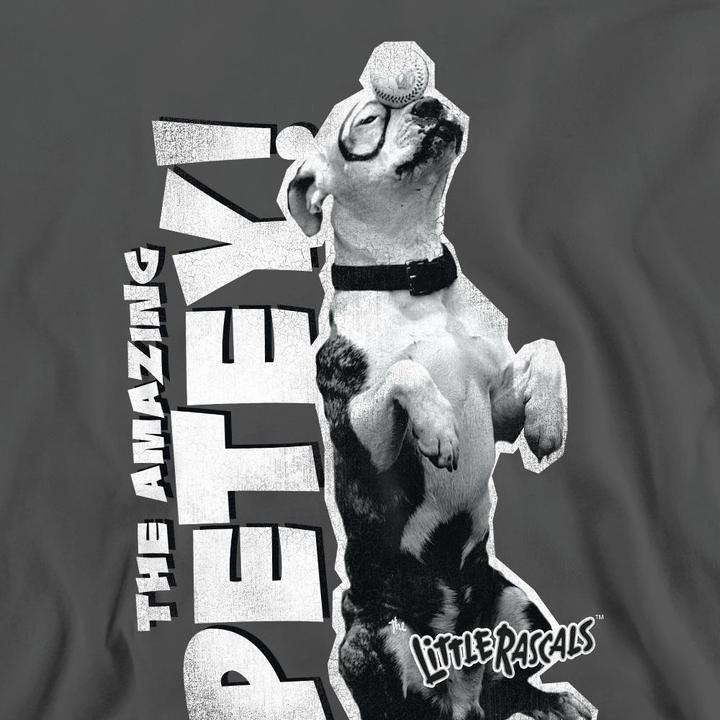 Actual product image The Little Rascals Unisex Adult Amazing Petey Sweatshirt (M)
