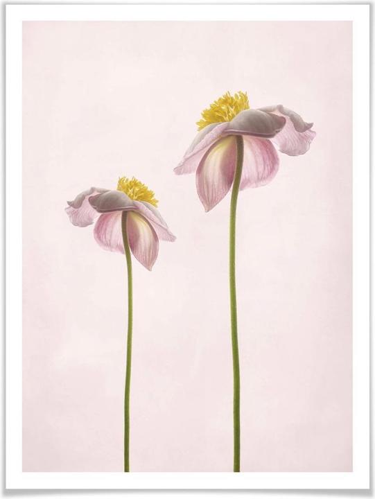Produktbild Trenddeko Sommerlust (24 x 30 cm)