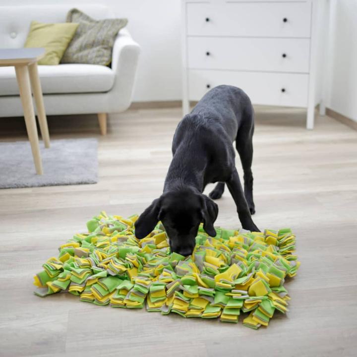 Actual product image Kerbl Schnüffelteppich (Intelligence toy dog)