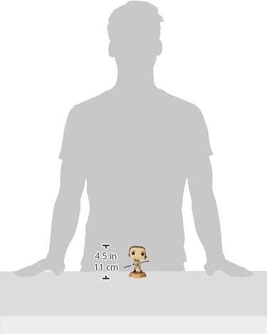 Produktbild Proxy Funko POP - Star Wars Across The Galaxy - Rey Skywalker (55498)