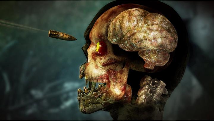 Image du produit Zombie Army 4 : Dead War (PS4, DE)