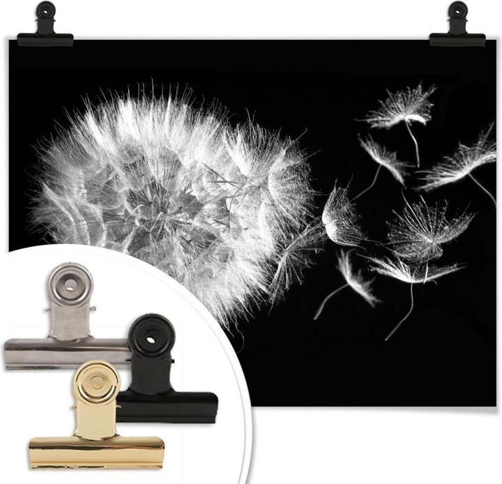 Immagine prodotto Trenddeko Poster Dandelion 100 x 80 cm, Carta (100 x 80 cm)