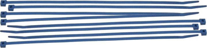 Produktbild Brady Leitungs- und Kabelbinder aus Nylon (Kunststoffkabelbinder, 200 mm, 100 Stk.)
