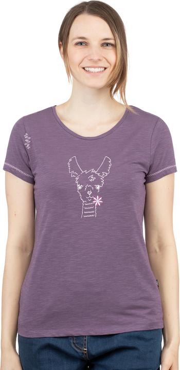 Actual product image Chillaz Klettershirt Happy Alpaca (40)