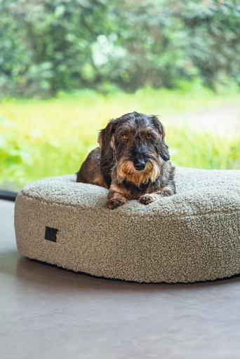 Image du produit Designed by Lotte Ribbed (Chien)