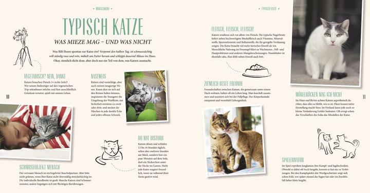 Image du produit Katzen Basics (Allemand, Gerd Ludwig, 2015)