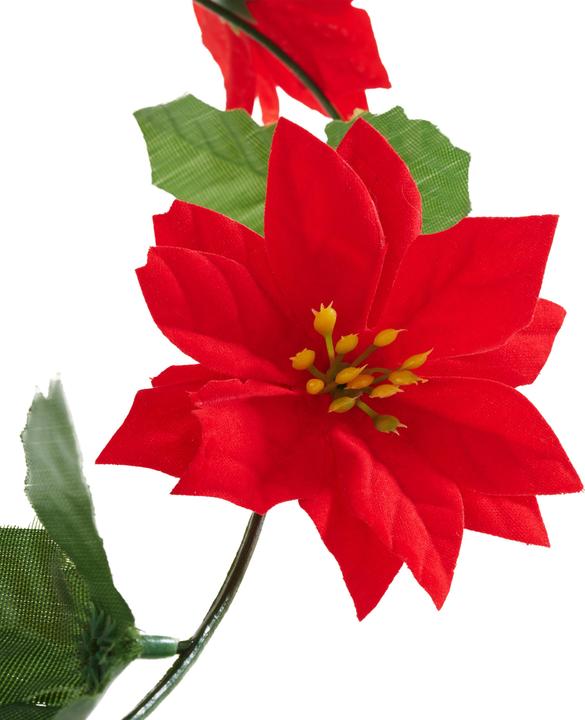 Image du produit VBS Guirlande de poinsettias, L environ 200 cm