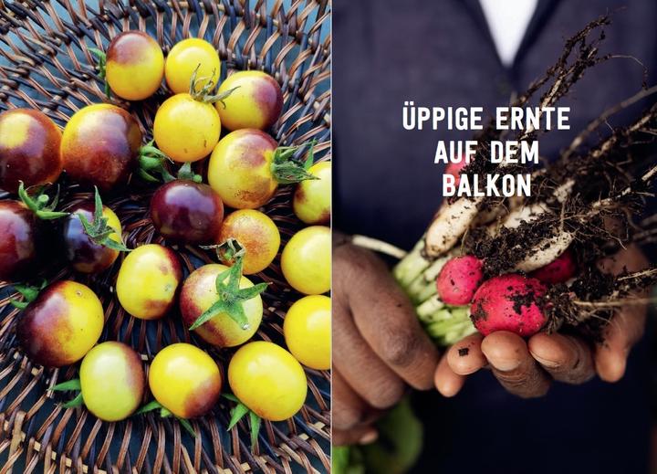 Productafbeelding Mein Permakultur-Balkon (Duits, Valéry Tsimba, 2022)