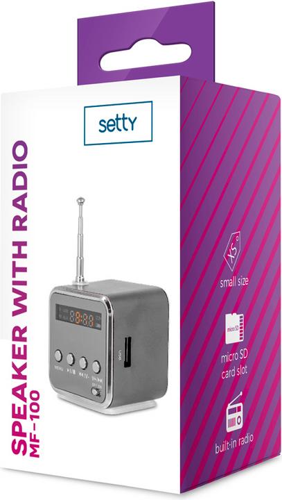 Actual product image Setty Speaker Forever FOREVER Speaker Z RADIEM MF-100 Silver - zakupy dla firm - 43886720 (6 h, Rechargeable battery operated)