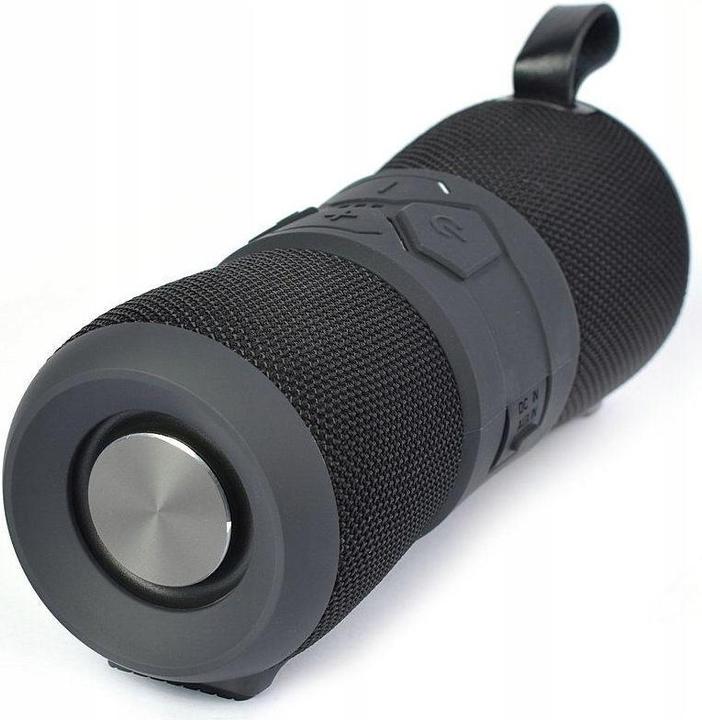 Toshiba Sonic Blast 3 TY-WSP200 black (9 h, Rechargeable battery operated)