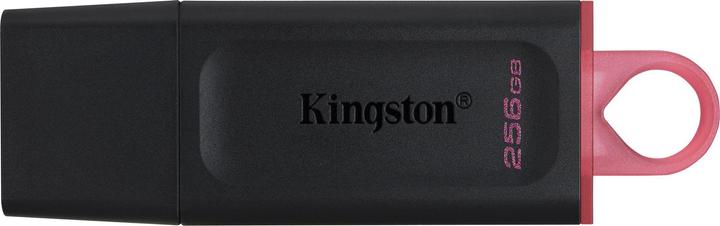 Actual product image Kingston MEMORY DRIVE FLASH USB3.2/256GB DTX/256GB (256 GB, USB 3.0, USB 3.1, USB 3.2)