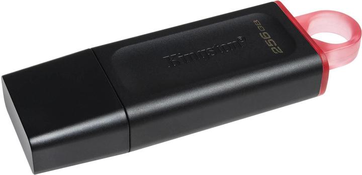 Actual product image Kingston MEMORY DRIVE FLASH USB3.2/256GB DTX/256GB (256 GB, USB 3.0, USB 3.1, USB 3.2)