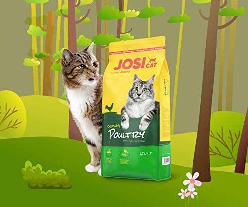 Produktbild Josera Cat food JosiCat Crunchy poultry 10kg (Adult, 1 Stk., 10000 g)