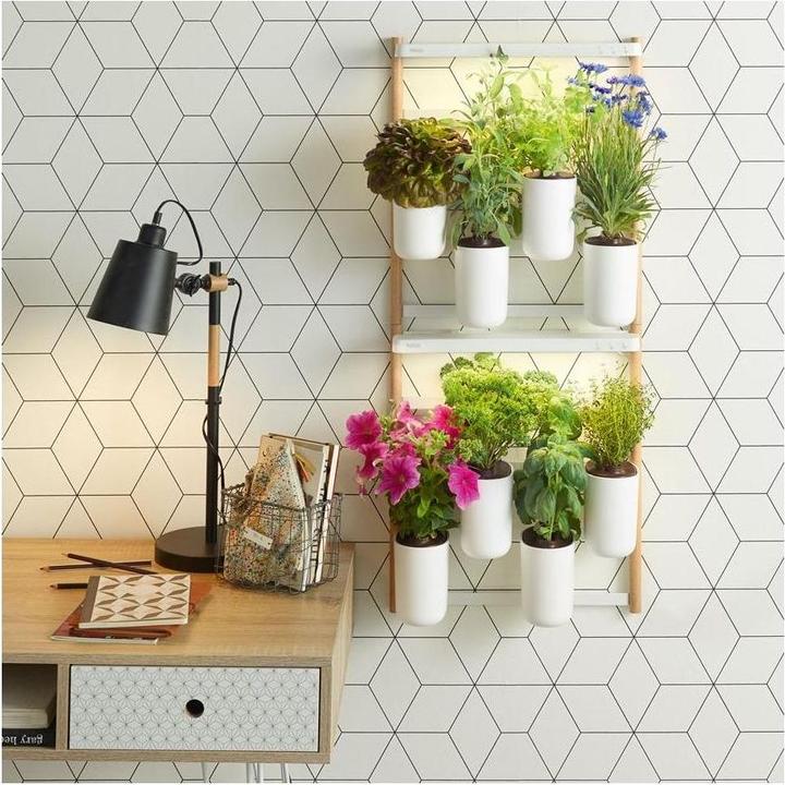 Actual product image Prêt à Pousser Modulo 2 (30.50 cm)