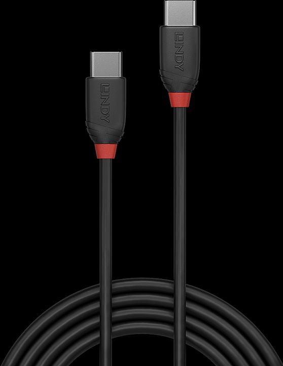 Immagine prodotto Lindy USB/C-USB/C M-M (0.50 m, USB 3.1)