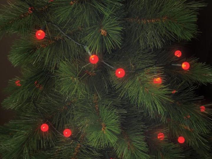 Immagine prodotto Light Creations Cherry Light LED - 12 m - 120 lampade rosse - cavo verde - 24 V (12 m)