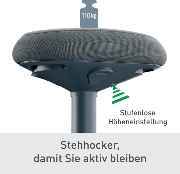 Produktbild Leitz Ergo Active