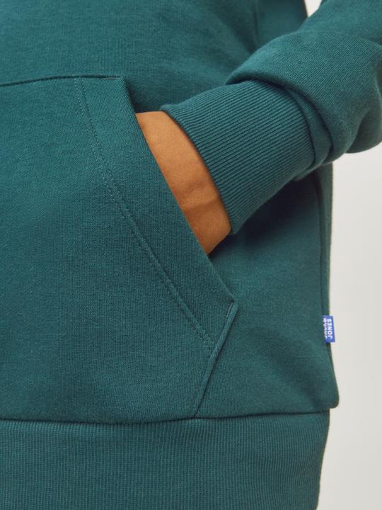 Actual product image Jack & Jones Jjecorp Logo Sweat Hood Noos Jnr (164)
