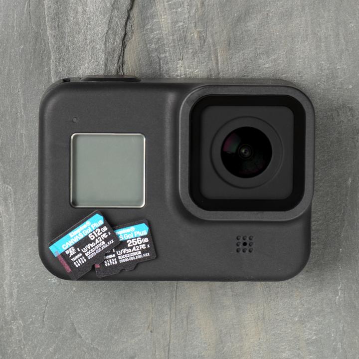 Immagine prodotto Kingston Tela Go Plus (256 GB, microSDXC, U3, UHS-I)