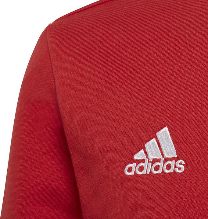 Actual product image adidas Entrada 22 sweatshirt kids (164)