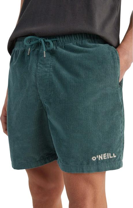 Immagine prodotto O'Neill shorts camorro cord (XL)