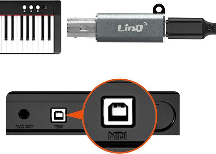 Actual product image LinQ USB-C socket / USB-B plug adapter (USB Type C, USB)