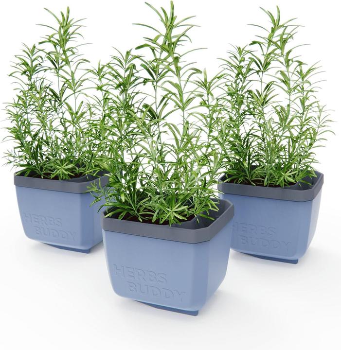 Produktbild Gusta Garden Herbs Buddy Kräutertopf (50 cm)
