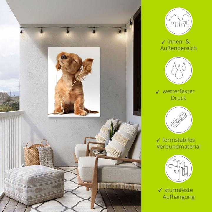 Image du produit Artland Jeune chien écoutant de la musique avec des écouteurs T5QE (60 x 80 cm)