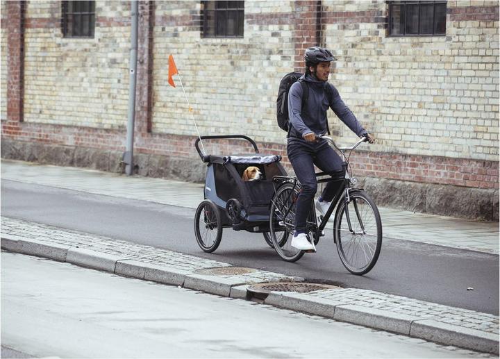 Produktbild Thule Hundeset zu Courier