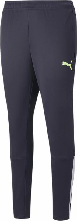 Actual product image Puma TeamLIGA training pants men (XL)