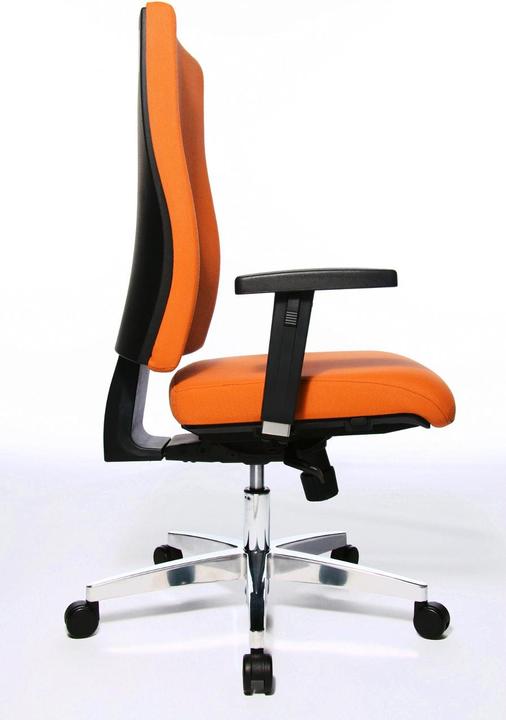 Immagine prodotto Topstar Stella luminosa 20 X
