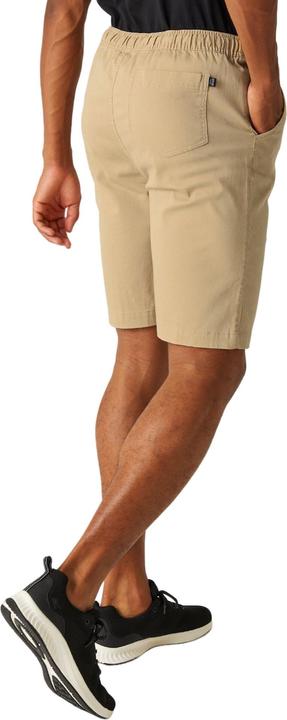 Actual product image Regatta Mens Aldan Chino Shorts (40)