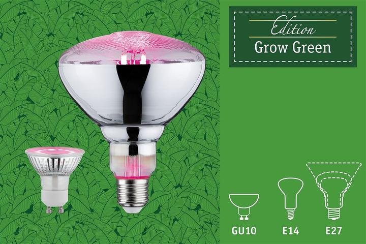 Immagine prodotto Paulmann Luce della pianta (GU10, 3.50 W, 95 lm, 1 x)