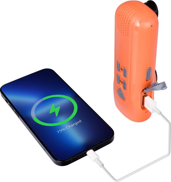 Image du produit Felixx Radio à manivelle RD5035 Lampe ou (200 mAh, 480 Wh)