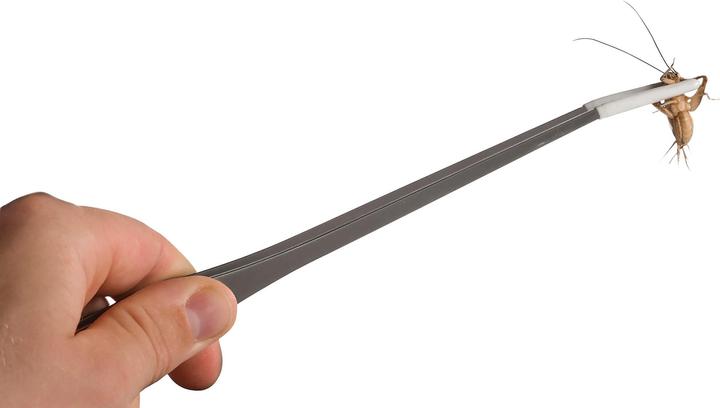 Produktbild Exo Terra Tongs Futterpinzette