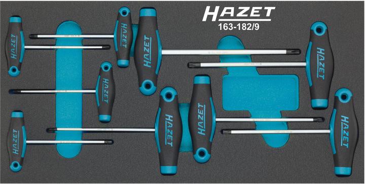Immagine prodotto HAZET Serie di giraviti ∙ con impugnatura a T 163-182/9 ∙ Profilo interno TORX ∙ T6 ∙ T7 ∙ T8 ∙ T9… (Torx (TX))